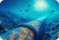 프리미엄 다이렉트